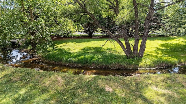 31 Hampton Dr, Stuarts Draft, VA 24477 - view of green lawn
