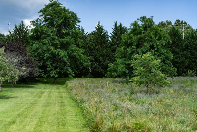 31 Hampton Dr, Stuarts Draft, VA 24477 - view of green lawn