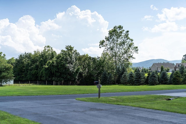 31 Hampton Dr, Stuarts Draft, VA 24477 - view of property's community featuring a mountain view