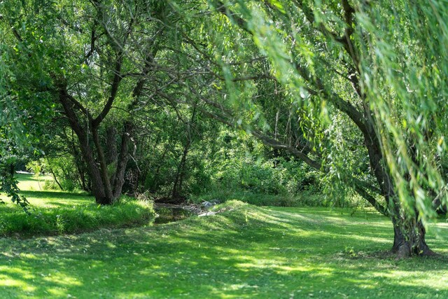 31 Hampton Dr, Stuarts Draft, VA 24477 - view of grassy yard