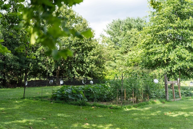 31 Hampton Dr, Stuarts Draft, VA 24477 - view of yard