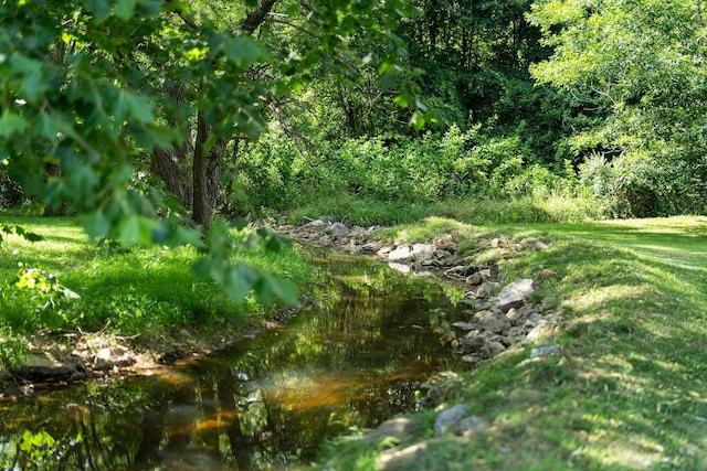 31 Hampton Dr, Stuarts Draft, VA 24477 - view of tree filled area