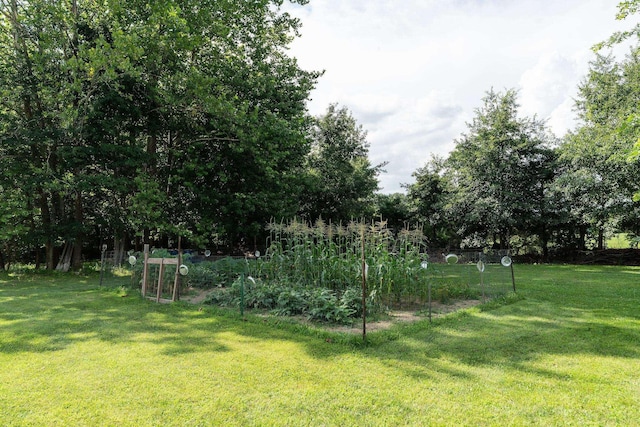 31 Hampton Dr, Stuarts Draft, VA 24477 - view of grassy yard featuring a garden