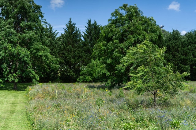 31 Hampton Dr, Stuarts Draft, VA 24477 - view of woods
