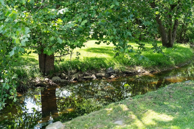 31 Hampton Dr, Stuarts Draft, VA 24477 - view of nature