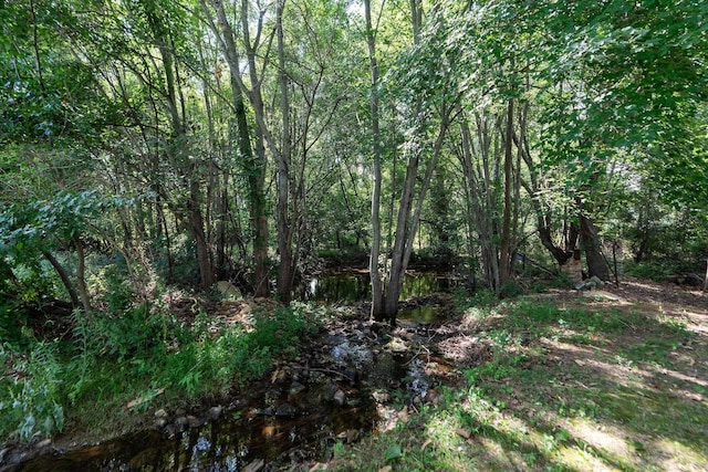 31 Hampton Dr, Stuarts Draft, VA 24477 - view of woods