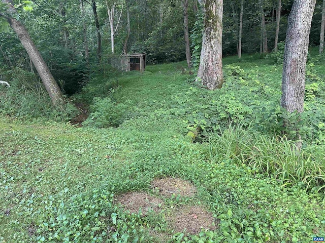 1863 River Rd, Faber, VA 22938 - view of yard featuring a forest view
