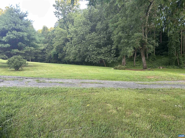 1863 River Rd, Faber, VA 22938 - view of green lawn featuring a forest view