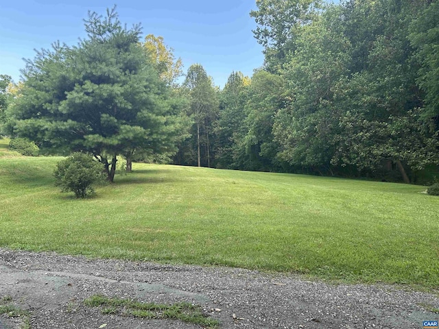 1863 River Rd, Faber, VA 22938 - view of green lawn