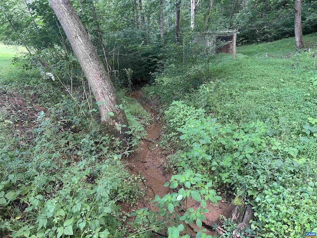 1863 River Rd, Faber, VA 22938 - view of woods