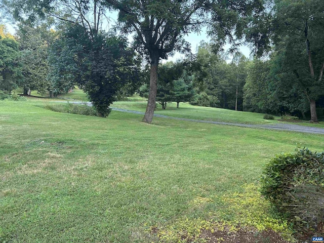1863 River Rd, Faber, VA 22938 - view of green lawn