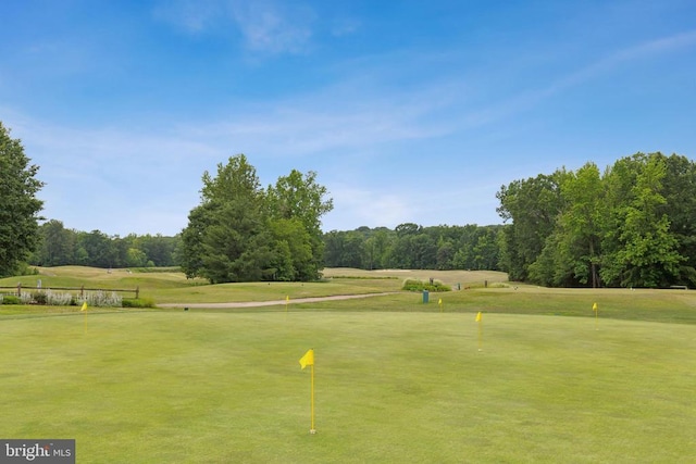 3803 Fallwood Ln, Fredericksburg, VA 22408 - view of community featuring golf course view, a putting green, and view of scattered trees