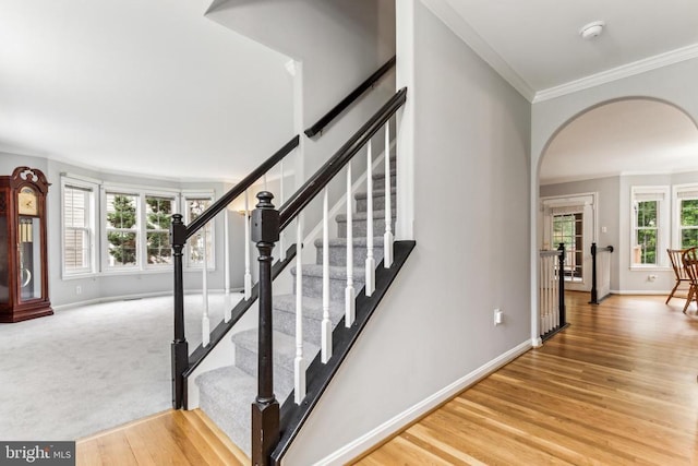 3803 Fallwood Ln, Fredericksburg, VA 22408 - staircase with arched walkways, ornamental molding, baseboards, and wood finished floors