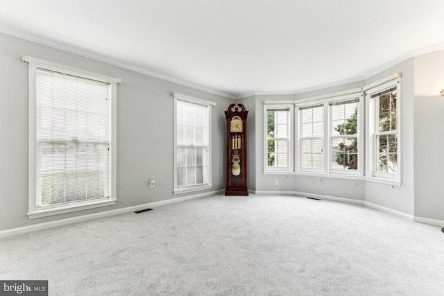 3803 Fallwood Ln, Fredericksburg, VA 22408 - spare room with ornamental molding, carpet floors, and baseboards