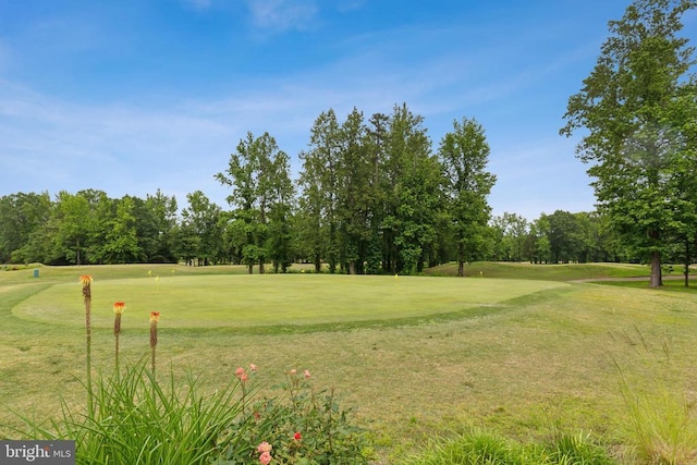 3803 Fallwood Ln, Fredericksburg, VA 22408 - view of property's community with golf course view, view of wooded area, and a lawn