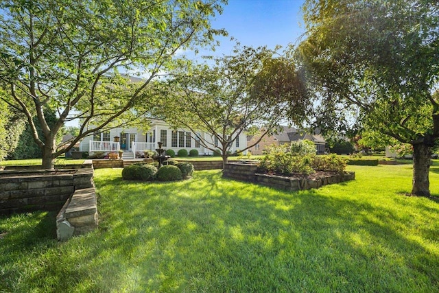 515 Legrande Ave, Waynesboro, VA 22980 - view of green lawn