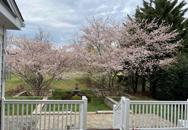 515 Legrande Ave, Waynesboro, VA 22980 - view of yard