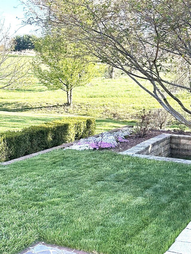 515 Legrande Ave, Waynesboro, VA 22980 - view of grassy yard