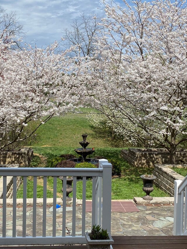 515 Legrande Ave, Waynesboro, VA 22980 - view of wooden terrace