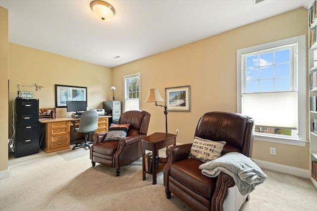 515 Legrande Ave, Waynesboro, VA 22980 - office featuring light carpet