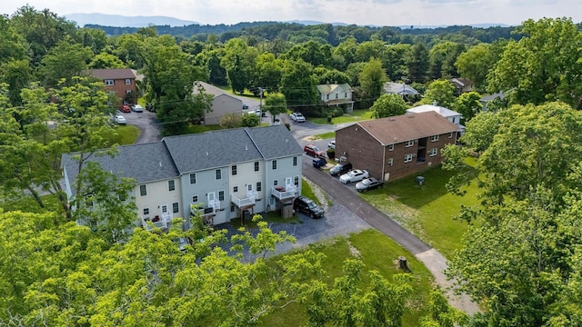 65 Woodlee Rd, Staunton, VA 24401 - bird's eye view of a forest