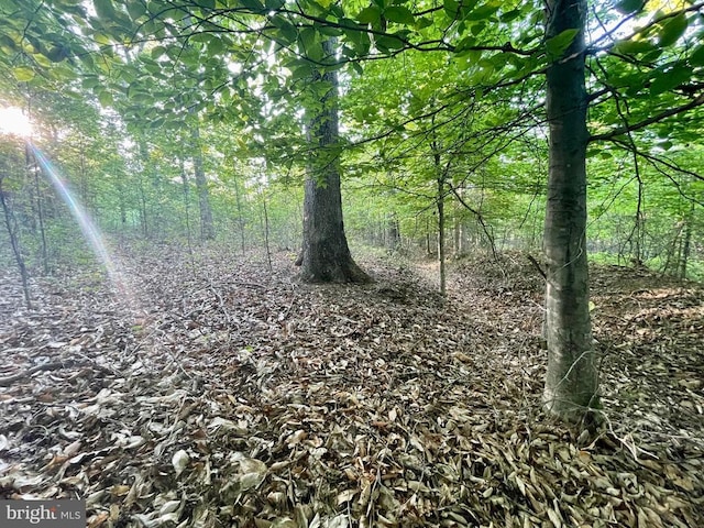 Deer Mountain Rd, Fredericksburg, VA 22407