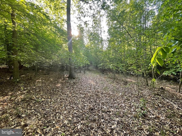 Deer Mountain Rd, Fredericksburg, VA 22407