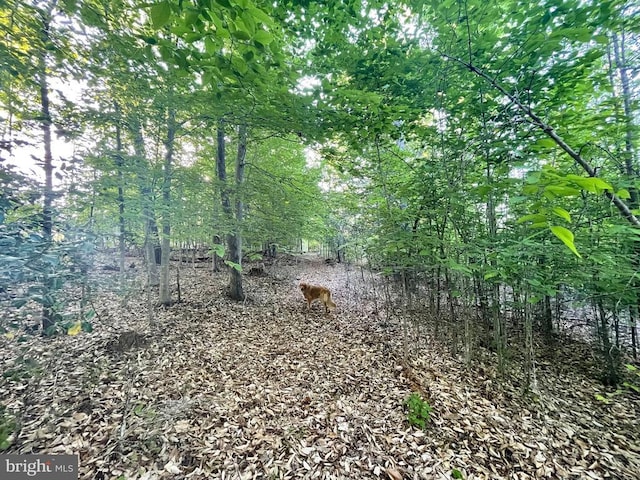 Deer Mountain Rd, Fredericksburg, VA 22407