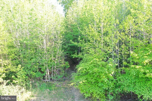 Deer Mountain Rd, Fredericksburg, VA 22407