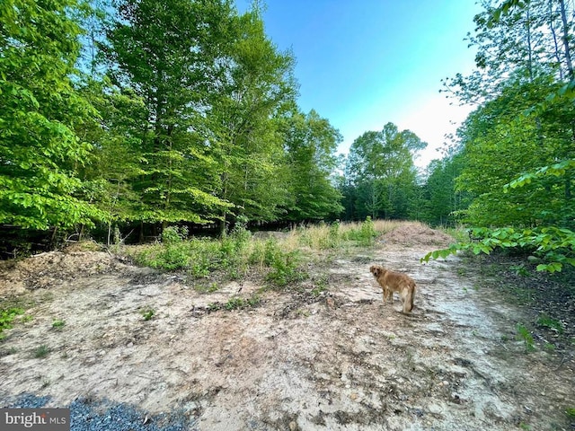 Deer Mountain Rd, Fredericksburg, VA 22407