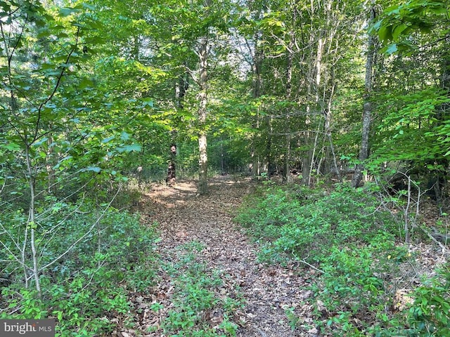 Deer Mountain Rd, Fredericksburg, VA 22407