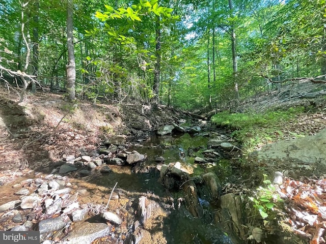 Deer Mountain Rd, Fredericksburg, VA 22407