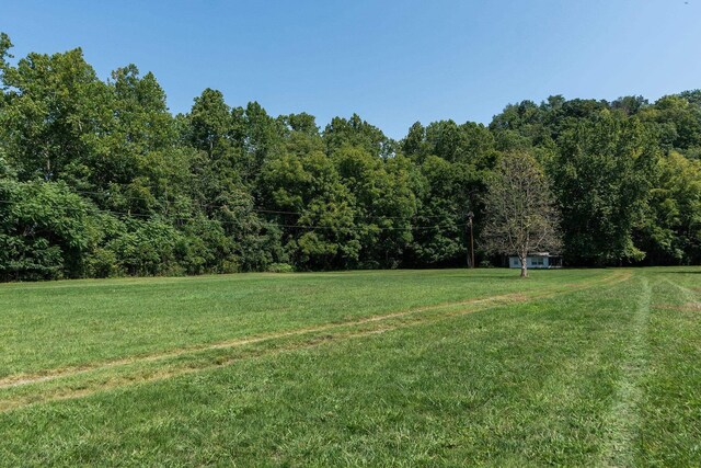 TBD Hankey Mountain Hwy, Churchville, VA 24421 - photo 30