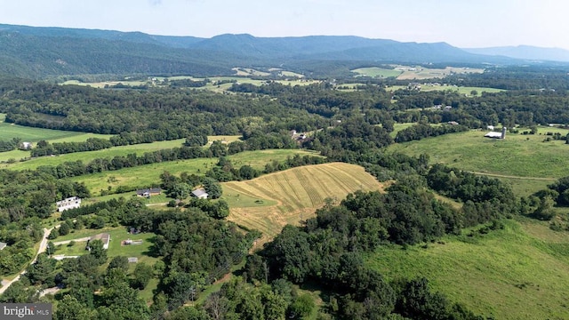 Esthers Lookout, Shenandoah, VA 22849 - photo 11