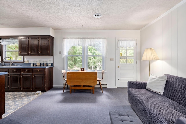 1233 Pinehurst Rd, Staunton, VA 24401 - living area with dark colored carpet, baseboard heating, ornamental molding, a textured ceiling, and a baseboard heating unit