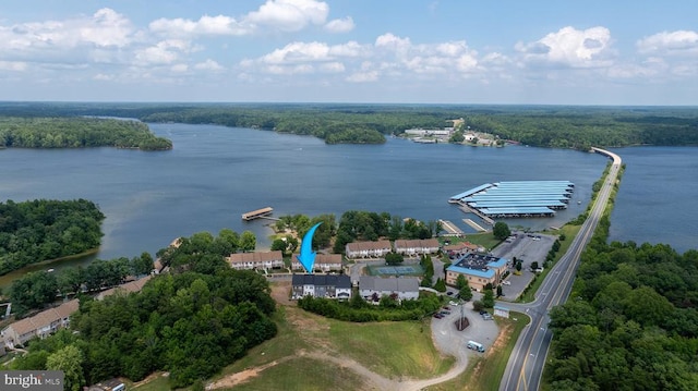 aerial view of a large body of water and a forest