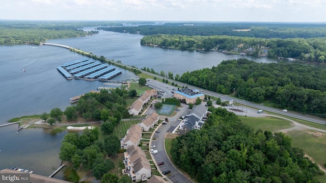 drone / aerial view of a forest and a nearby body of water