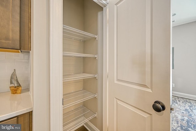 view of pantry