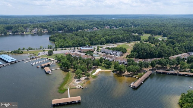 aerial view of a forest and a large body of water