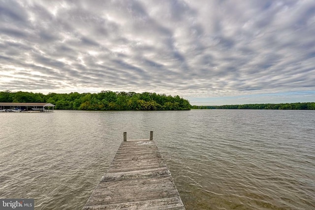 dock area with a water view