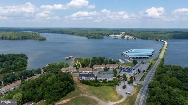 drone / aerial view of a large body of water and a forest