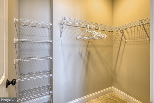 view of spacious closet
