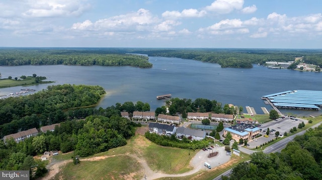 bird's eye view of a large body of water