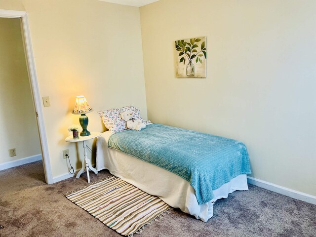 1204 3rd St, Waynesboro, VA 22980 - bedroom with carpet flooring and baseboards