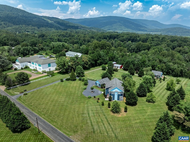 7520 Greenwood Station Rd, Greenwood, VA 22943 - photo 68