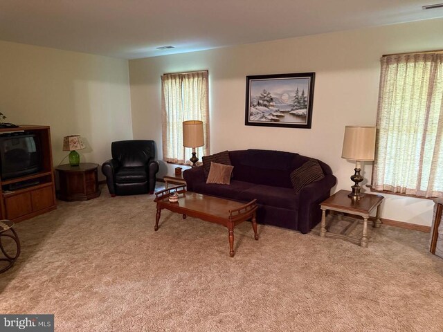 7206 Old Dickersons Rd, Orange, VA 22960 - photo 6