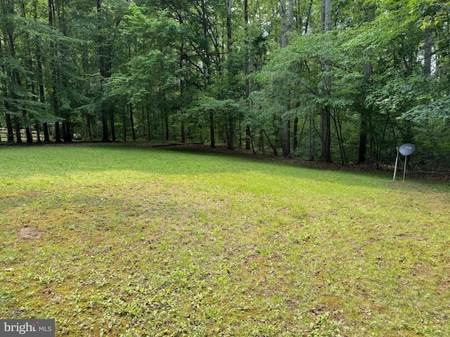 7206 Old Dickersons Rd, Orange, VA 22960 - photo 4