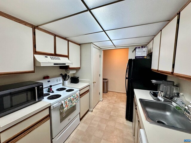 103 Turtle Creek Rd Unit 10, Charlottesville, VA 22901 - kitchen featuring electric range, black microwave, under cabinet range hood, a sink, and light countertops