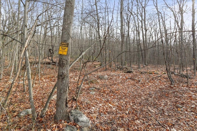 115 Mountain Top Ln, New Market, VA 22844 - view of landscape