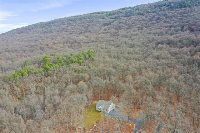 115 Mountain Top Ln, New Market, VA 22844 - view of subject property featuring a forest